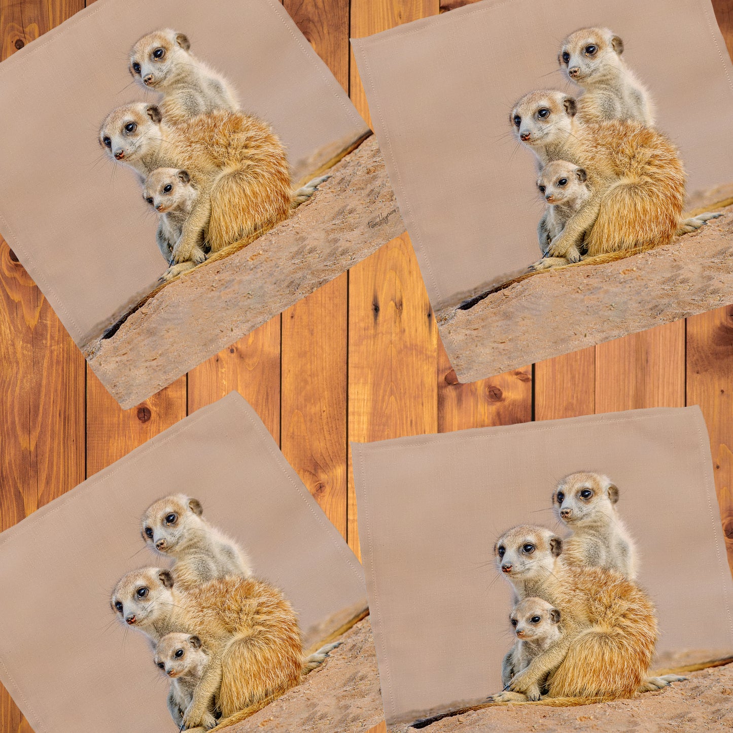 Kalahari Meerkat Family Napkins by Fanie Heymans