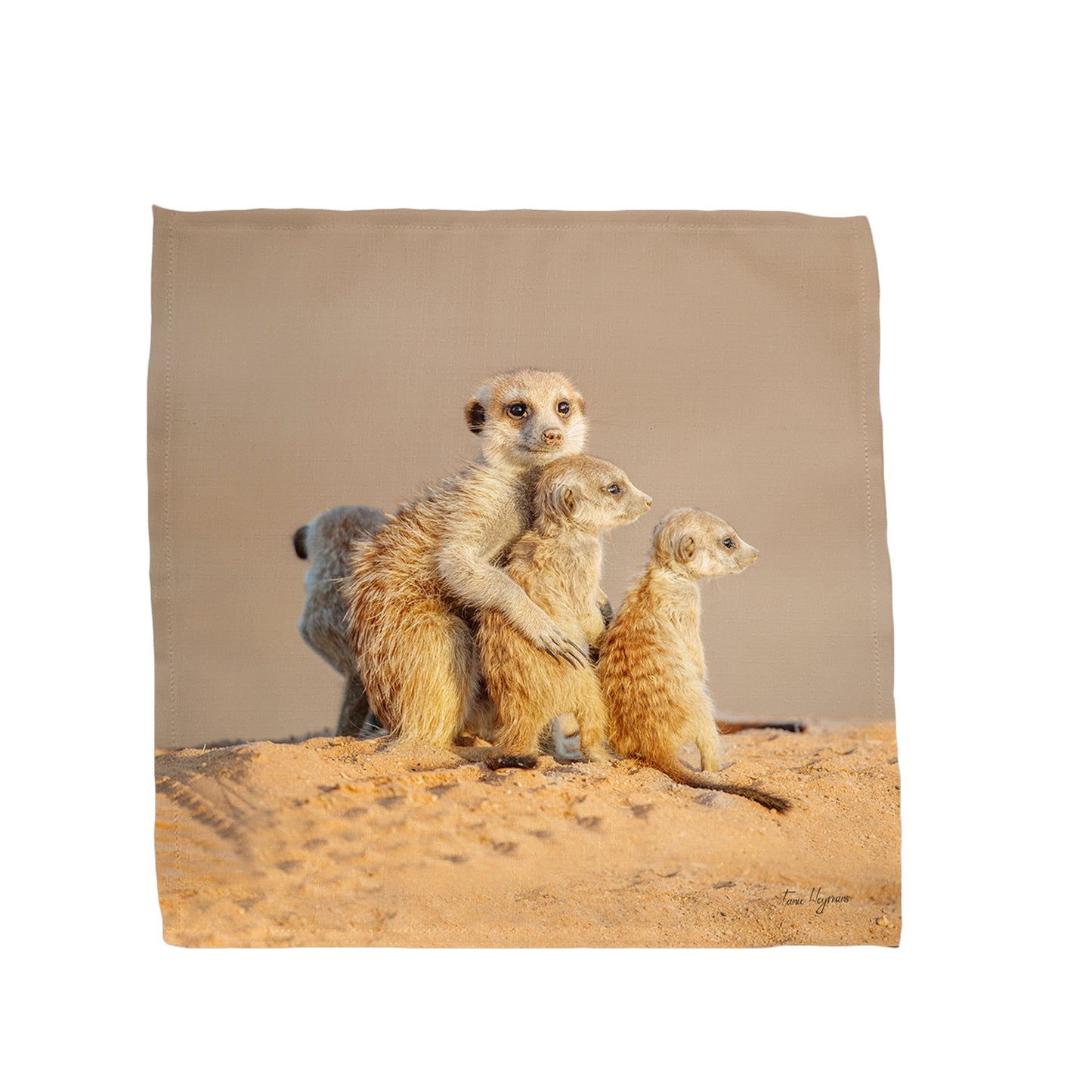 Kalahari Meerkat Napkins by Fanie Heymans