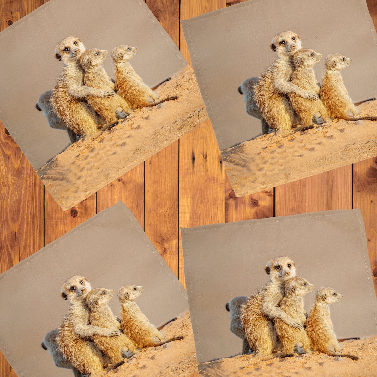 Kalahari Meerkat Napkins by Fanie Heymans
