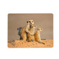 Kalahari Meerkat Placemats by Fanie Heymans