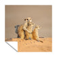 Kalahari Meerkat Square Tablecloth by Fanie Heymans