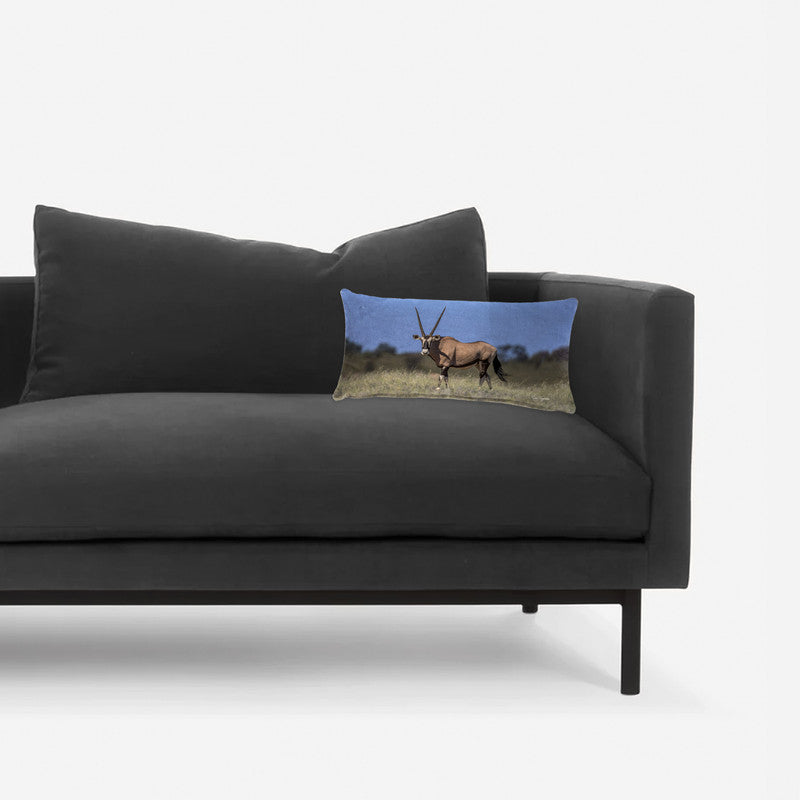 Kgalagadi Gemsbok Oblong Luxury Scatter by Fanie Heymans