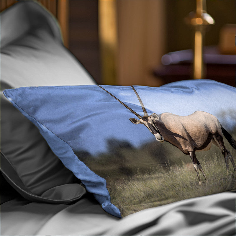 Kgalagadi Gemsbok Oblong Luxury Scatter by Fanie Heymans
