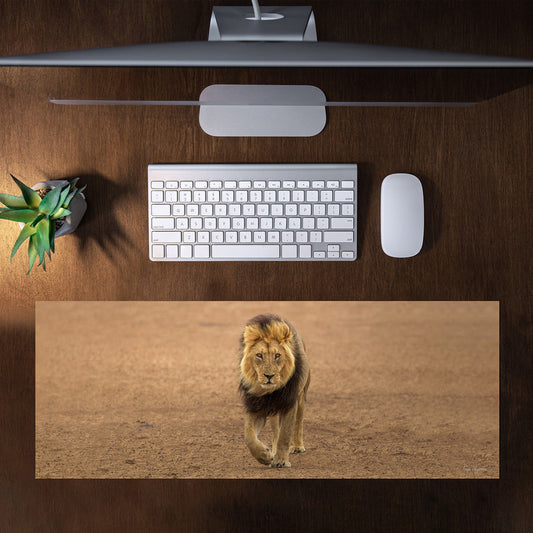 Kgalagadi Male Lion Desk Pad by Fanie Heymans