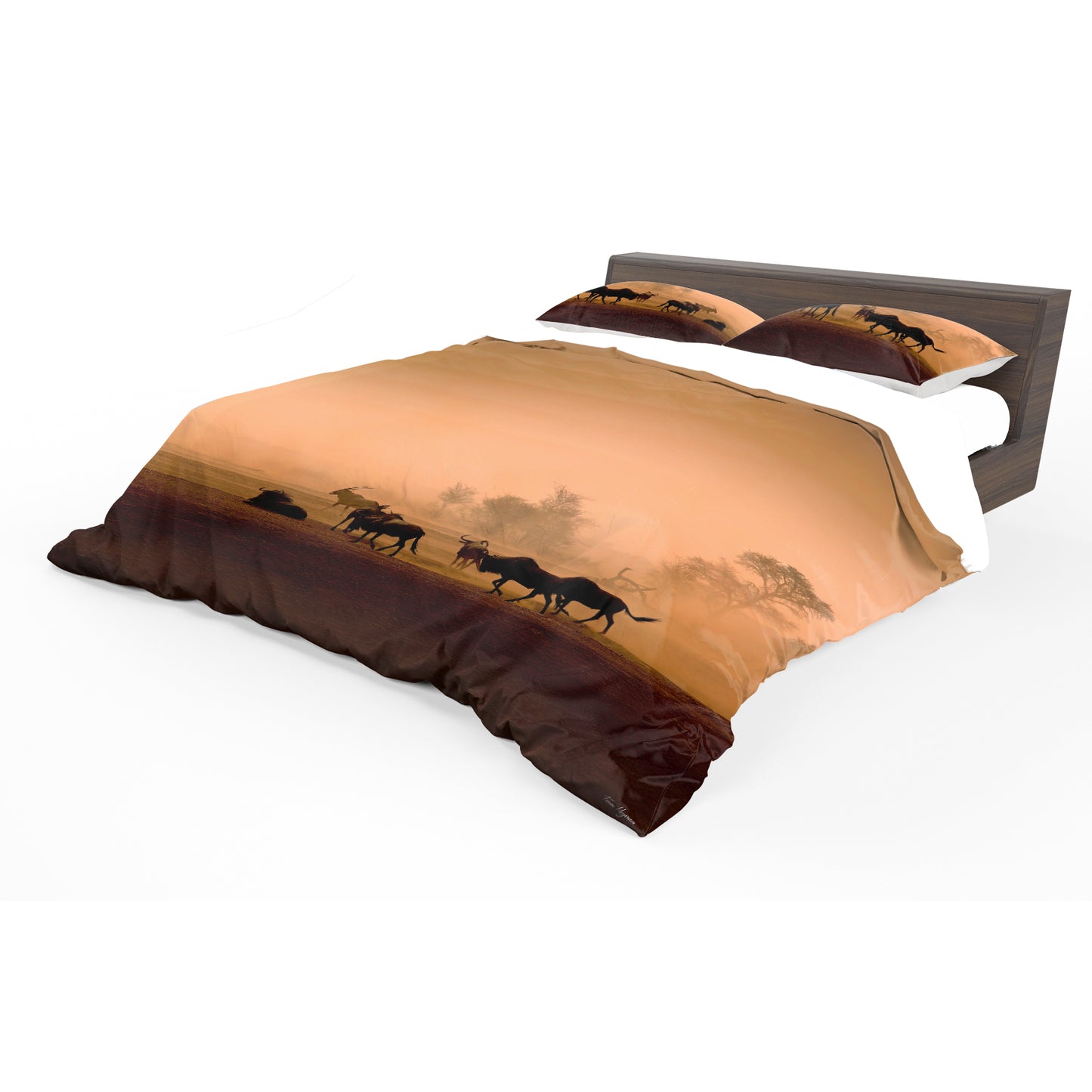 Kgalagadi Landscape Desert Storm Duvet Cover Set by Fanie Heymans