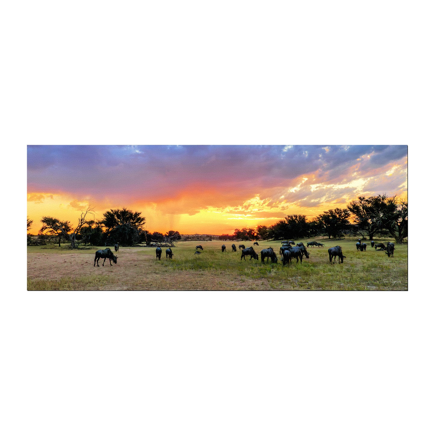 Kgalagadi Landscape Rain Storm Desk Pad by Fanie Heymans