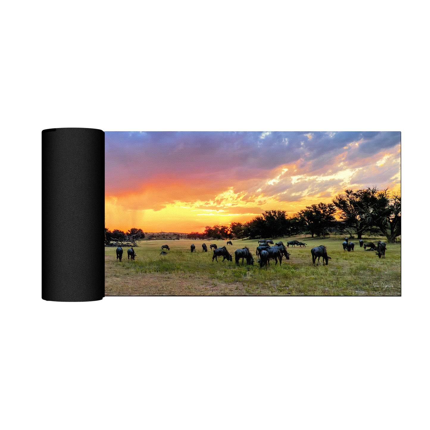 Kgalagadi Landscape Rain Storm Desk Pad by Fanie Heymans