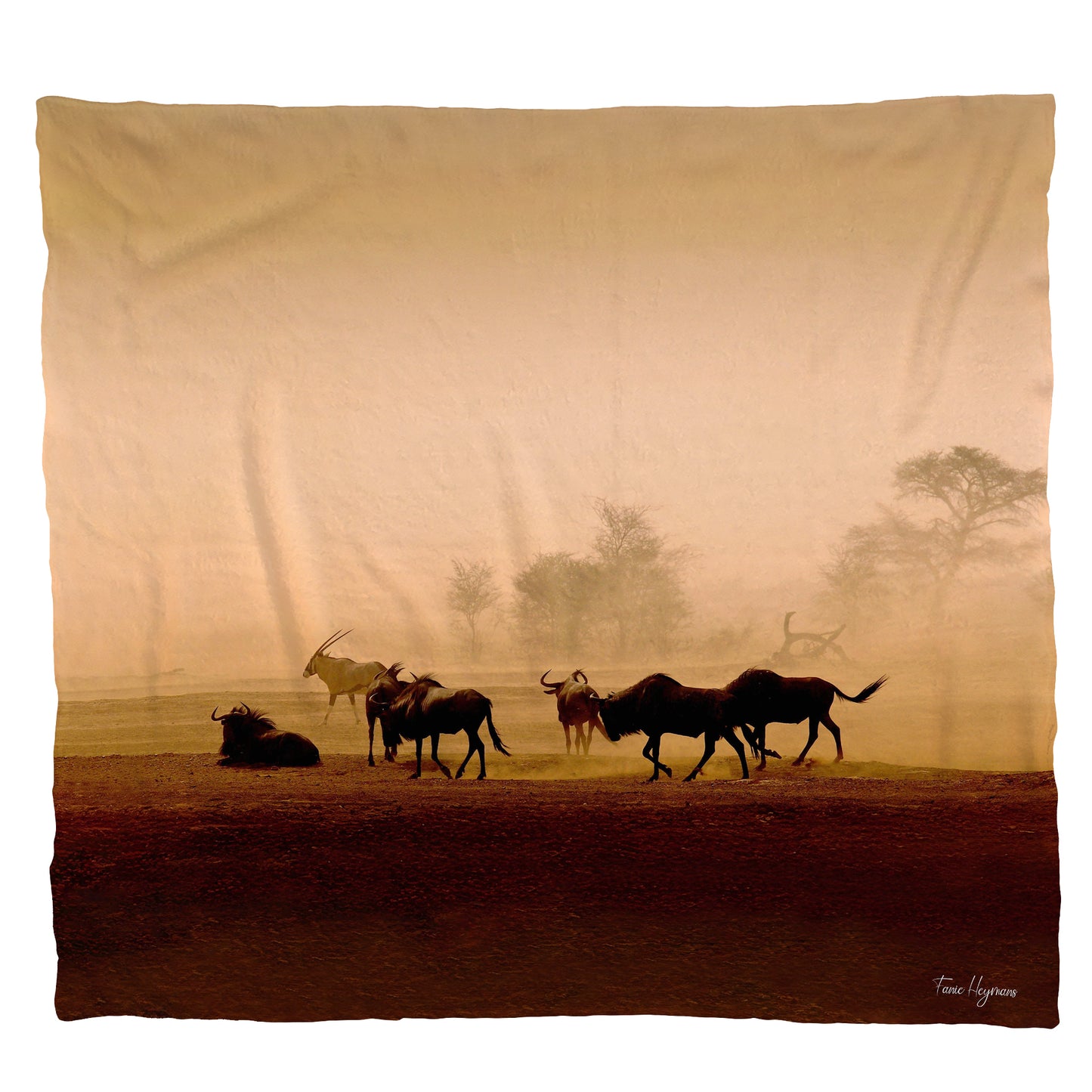 Kgalagadi Landscape Rain Storm Light Weight Fleece Blanket by Fanie Heymans