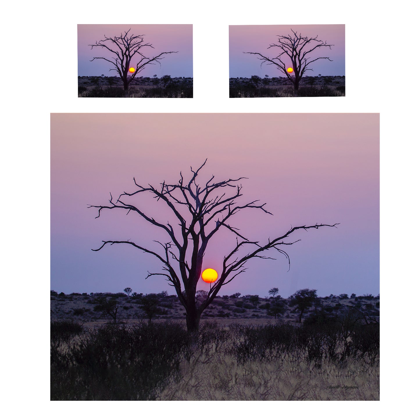 Kgalagadi Sunrise Duvet Cover Set by Annette Heymans