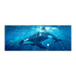 Killer Whale Large Desk Pad