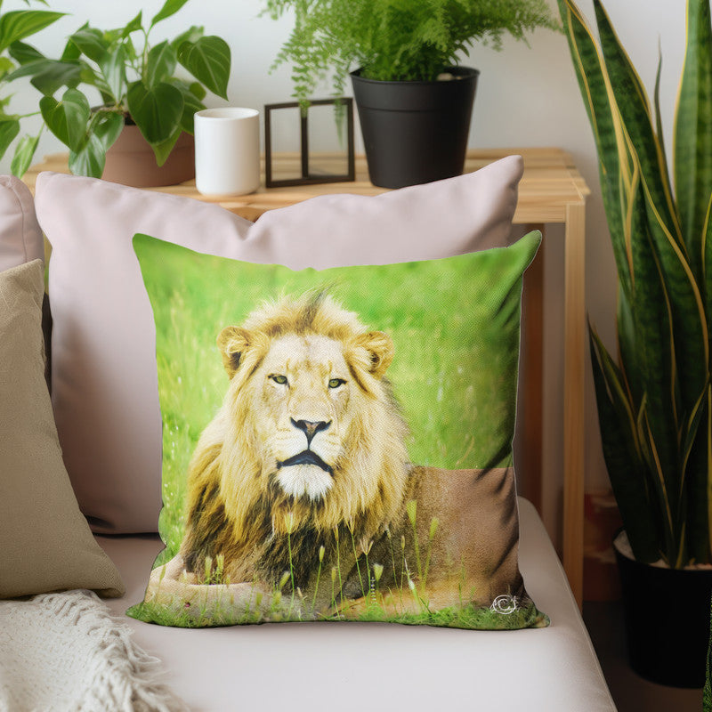 King of the Jungle Luxury Scatter by Ferdie Muller