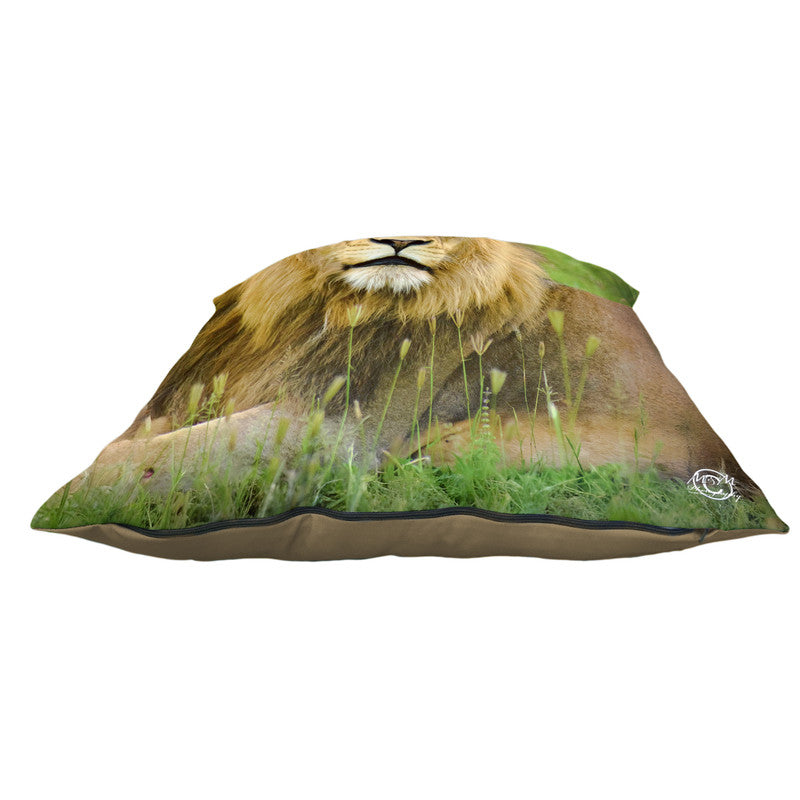King of the Jungle Luxury Scatter by Ferdie Muller