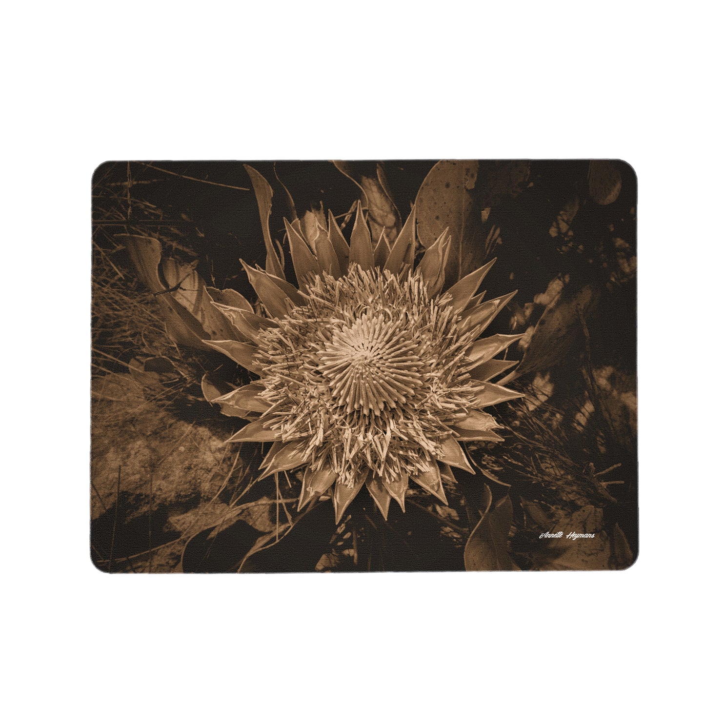 King Protea Sepia Placemats by Annette Heymans