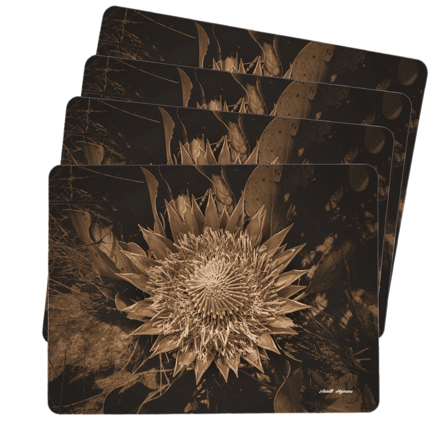 King Protea Sepia Placemats by Annette Heymans
