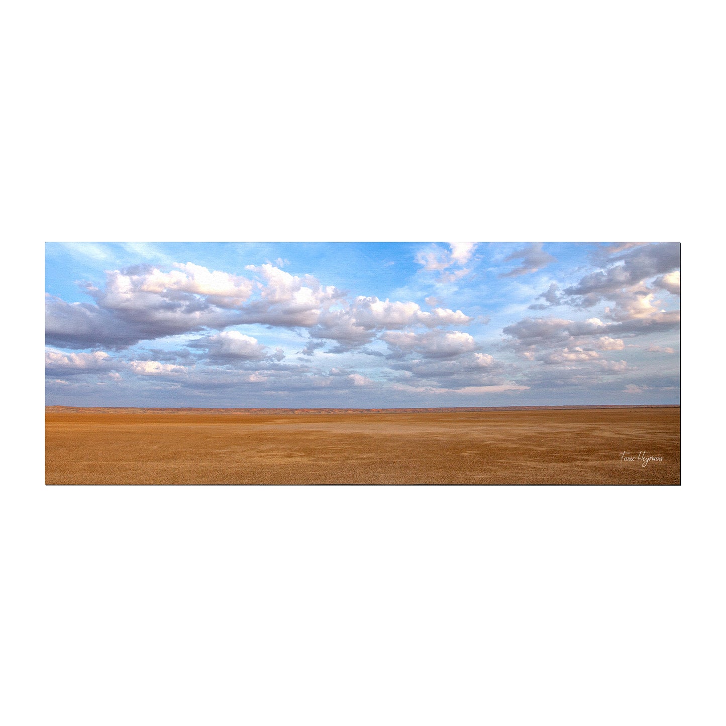 Koppies Kraal Pan Desk Pad by Fanie Heymans