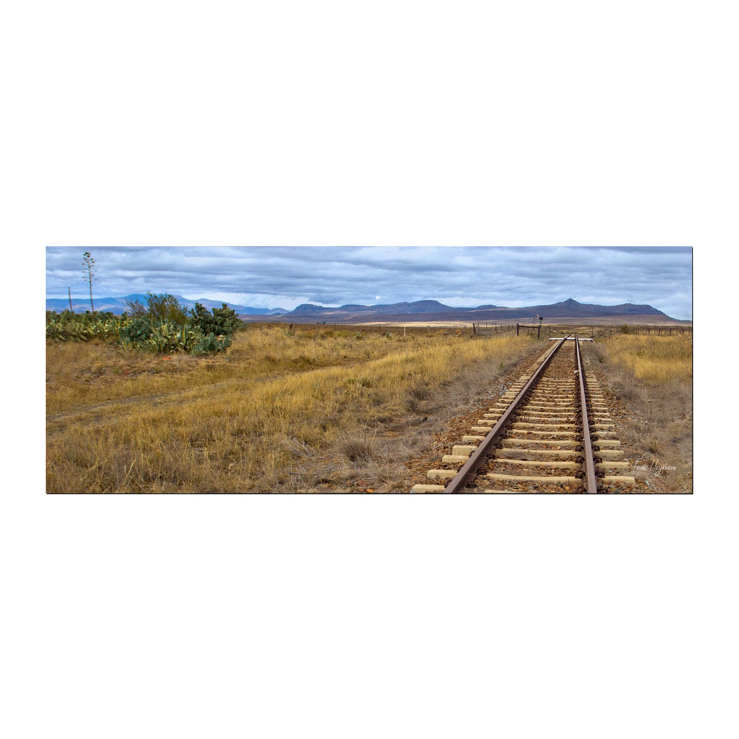 Koppies Kraal Spoor Desk Pad by Fanie Heymans