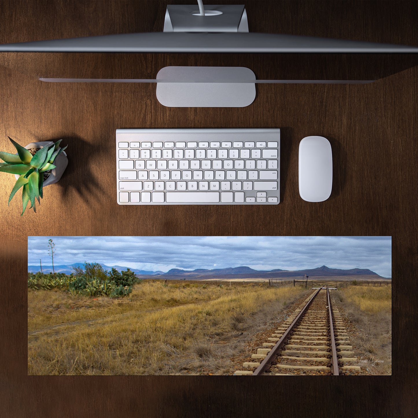 Koppies Kraal Spoor Desk Pad by Fanie Heymans
