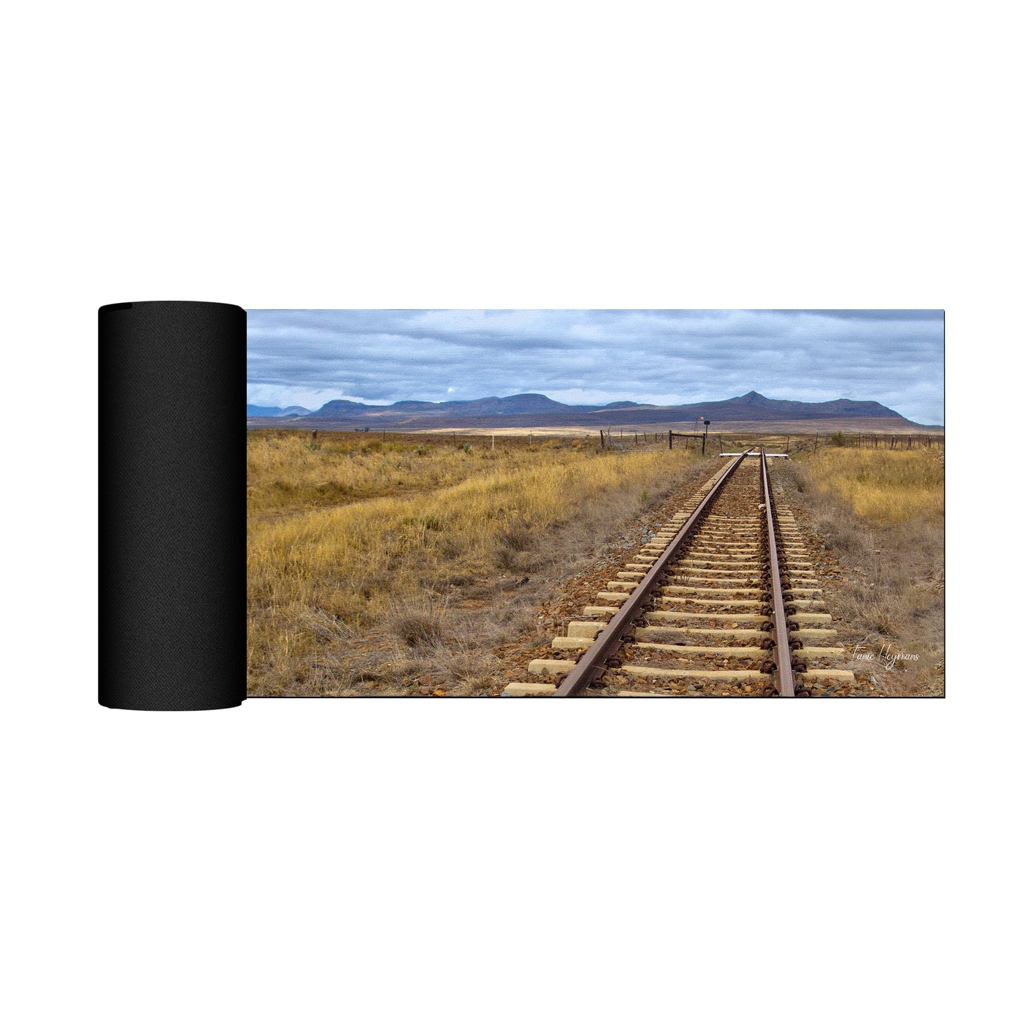 Koppies Kraal Spoor Desk Pad by Fanie Heymans