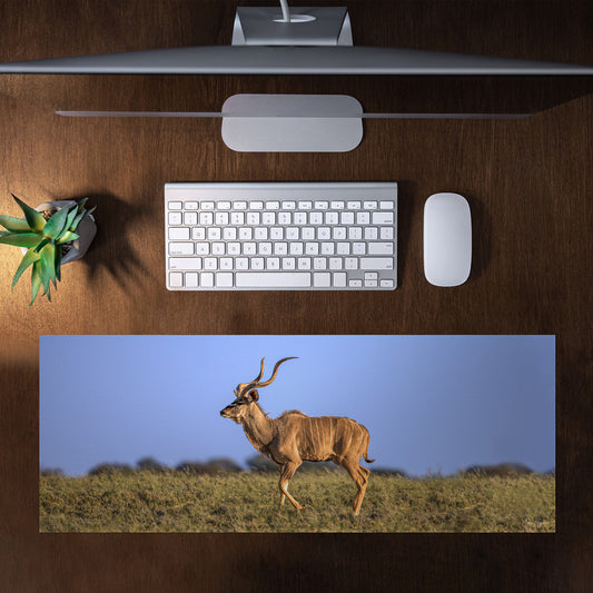 Kudu Bull Kalahari Desk Pad by Fanie Heymans