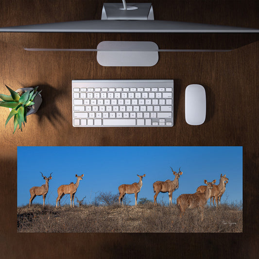 Kudu Herd Desk Pad by Fanie Heymans