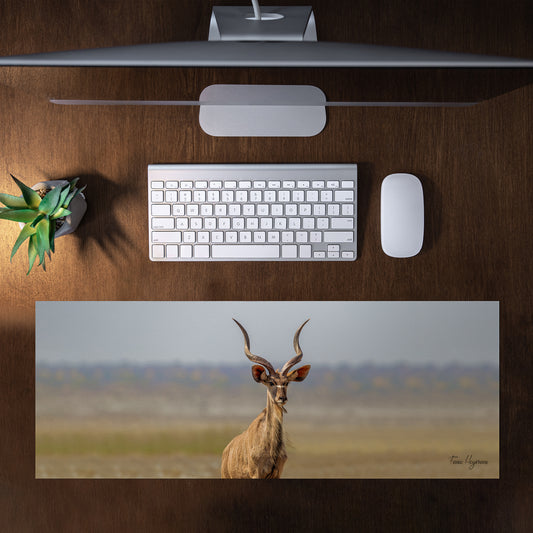 Kudu Bull Desk Pad by Fanie Heymans