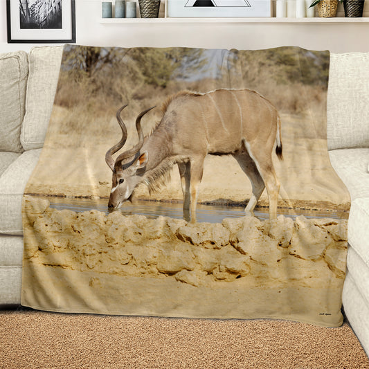 Kudu Bull Light Weight Fleece Blanket By Annette Heymans