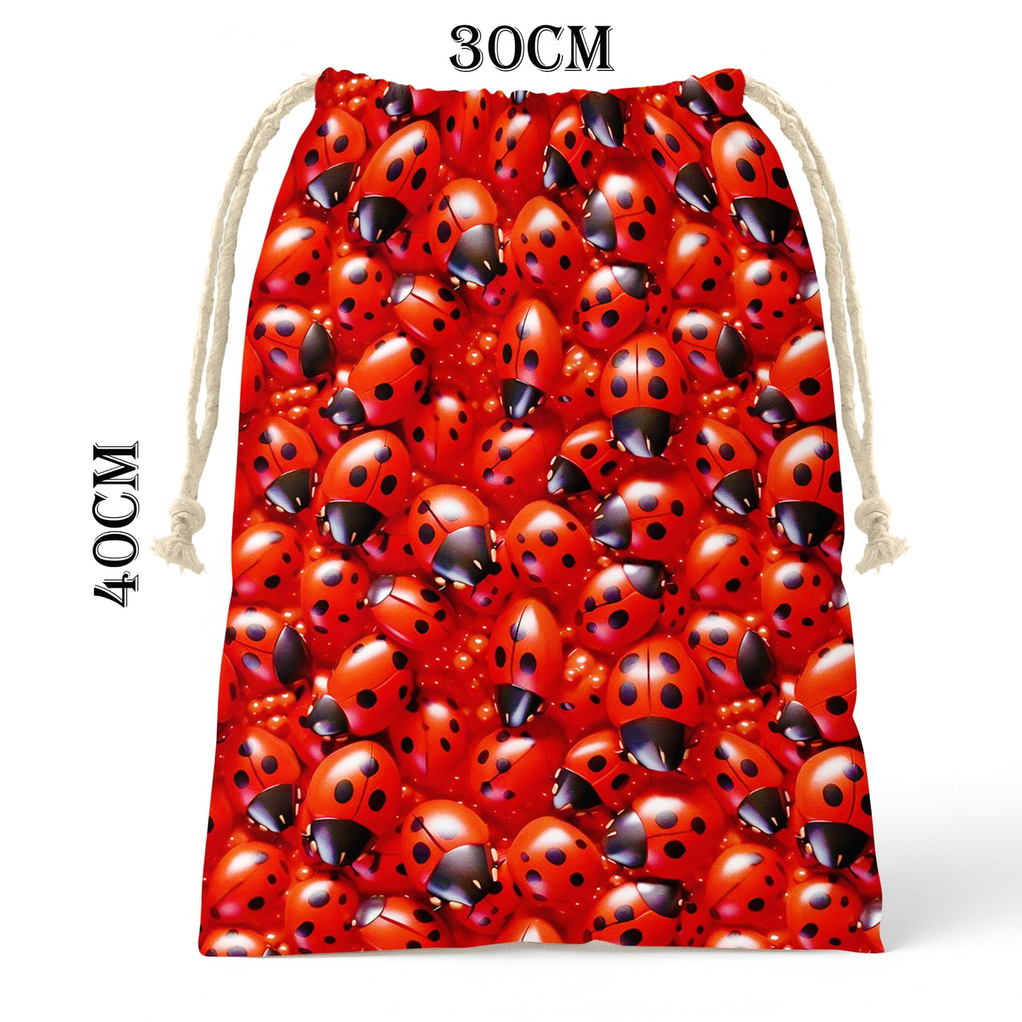 Lady Bugs Gift Bag (Set of 2)
