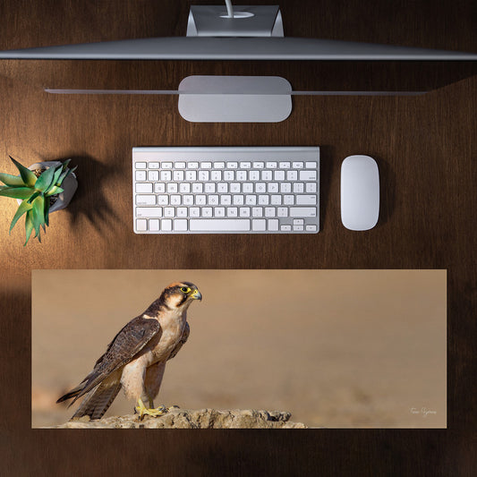 Lanner Falcon Edelvalk Large Desk Pad By Fanie Heymans