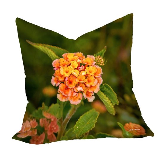 Lantana Fower Luxury Scatter by Annette Heymans