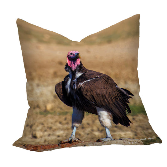 Lapped Faced Vulture Luxury Scatter by Annette Heymans