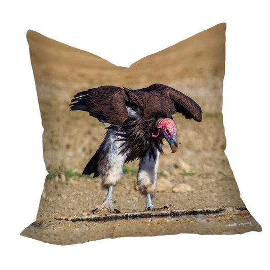 Lapped Faced Vulture Taking Off Luxury Scatter by Annette Heymans