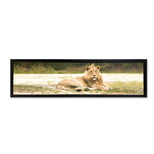 Lazy Lion Bar Mat by Ferdie Muller