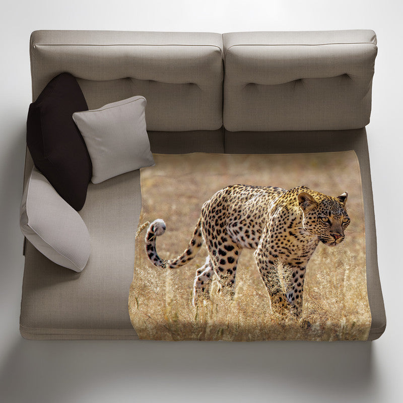 Leopard Luiperd Panthera Pardus Kgalagadi Light Weigt Fleece Blanket By Fanie Heymans