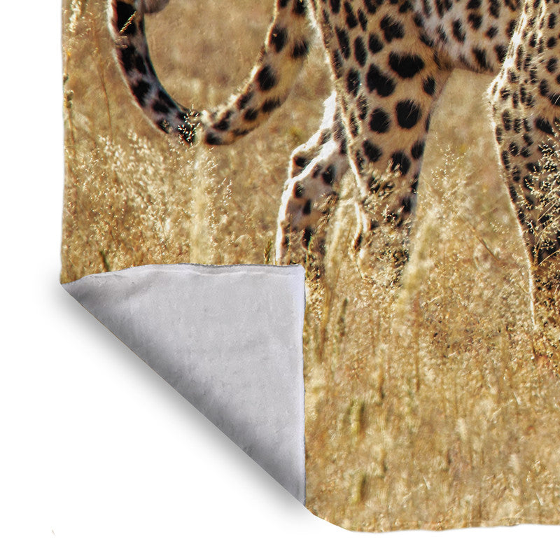Leopard Luiperd Panthera Pardus Kgalagadi Light Weigt Fleece Blanket By Fanie Heymans