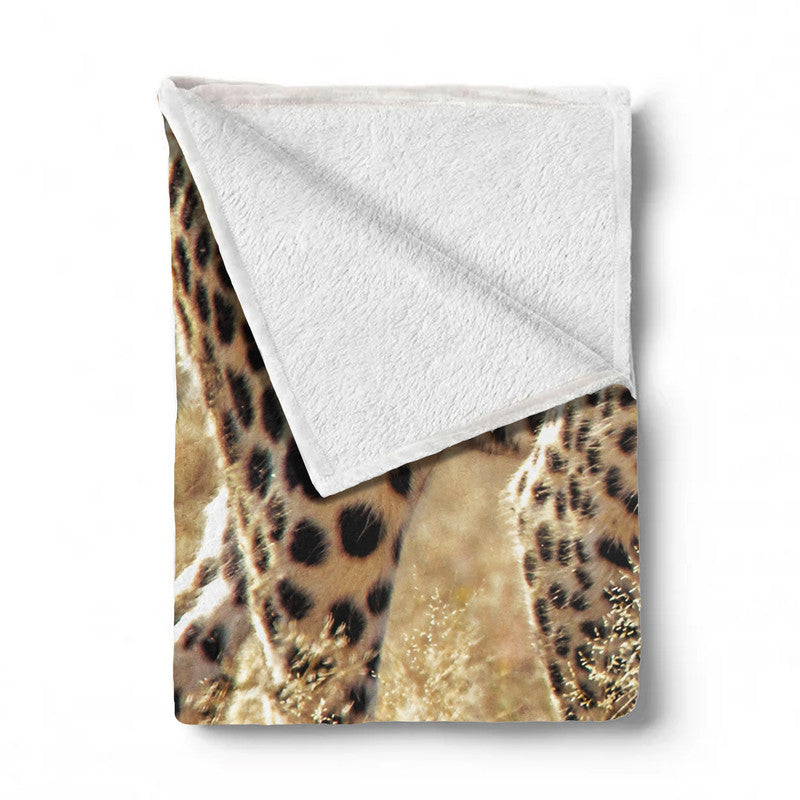 Leopard Luiperd Panthera Pardus Kgalagadi Light Weigt Fleece Blanket By Fanie Heymans