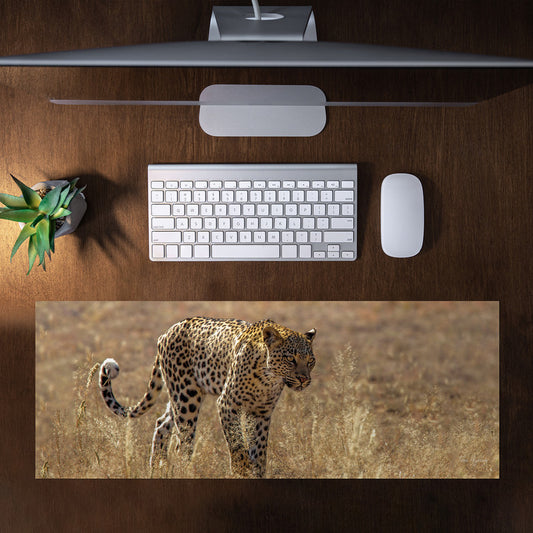 Leopard Luiperd Panthera Pardus Kgalagadi Panthera Leo Large Desk Pad By Fanie Heymans