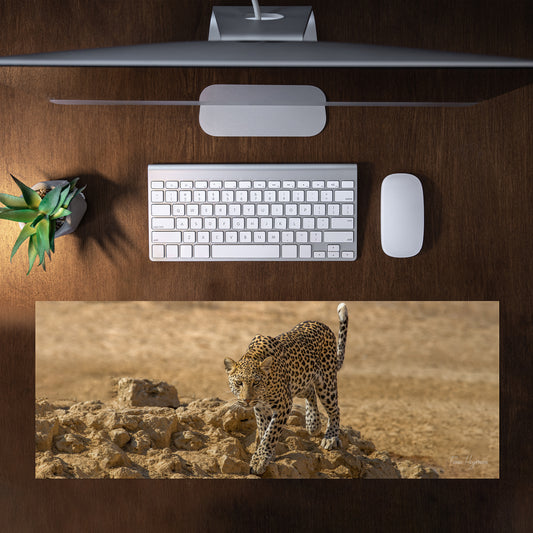 Leopard Stare Desk Pad by Fanie Heymans