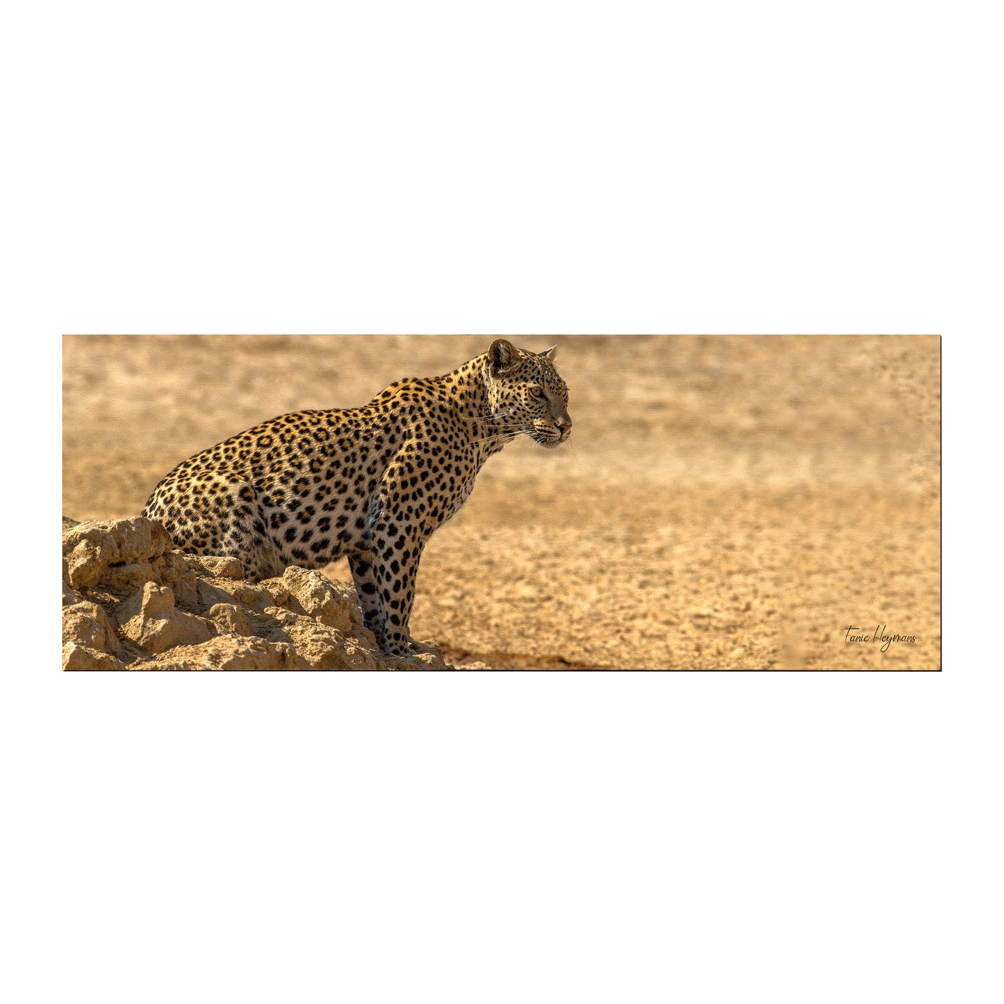 Leopard at Waterhole Desk Pad by Fanie Heymans