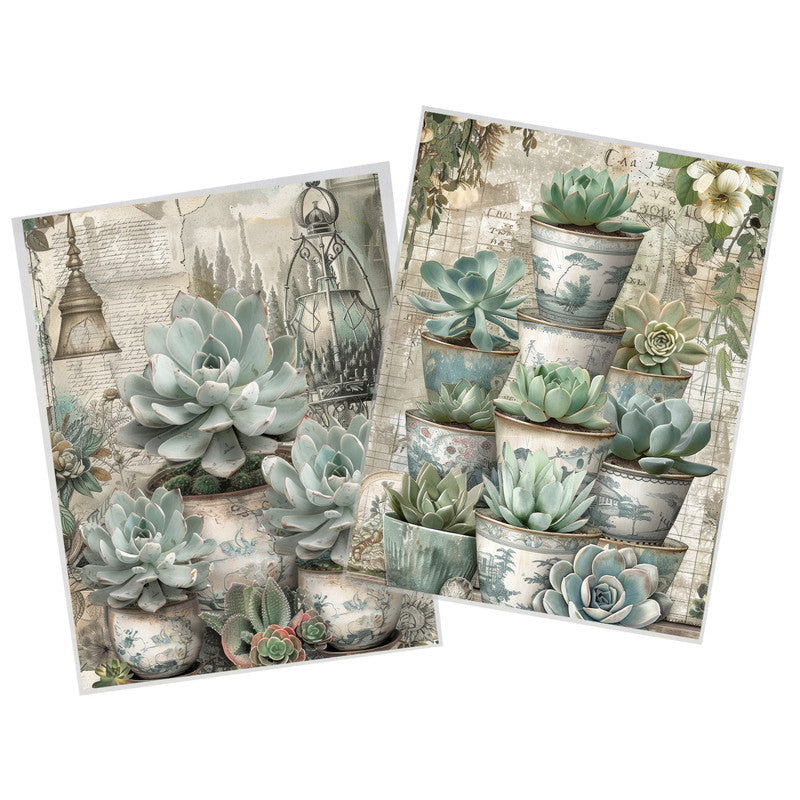 Life Memories Succlent Flowers Decoupage 800mm x 600mm
