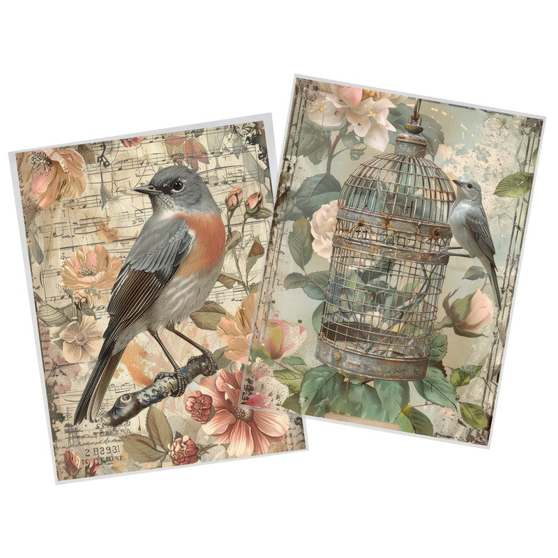 Life Memories of Birds Decoupage 800mm x 600mm