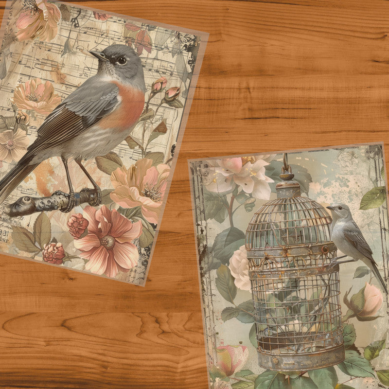 Life Memories of Birds Decoupage 800mm x 600mm