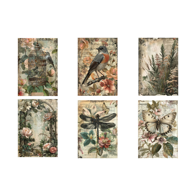 Life Memories of Insects and Birds Decoupage A4 A5 & A4