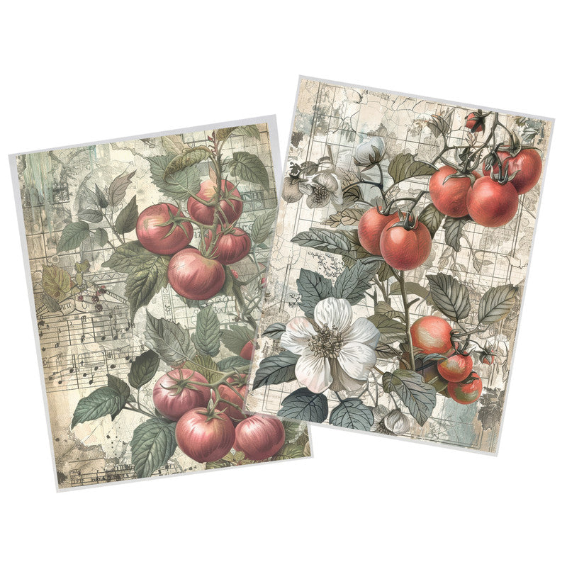 Life Memories of Pomegranates Decoupage 800mm x 600mm