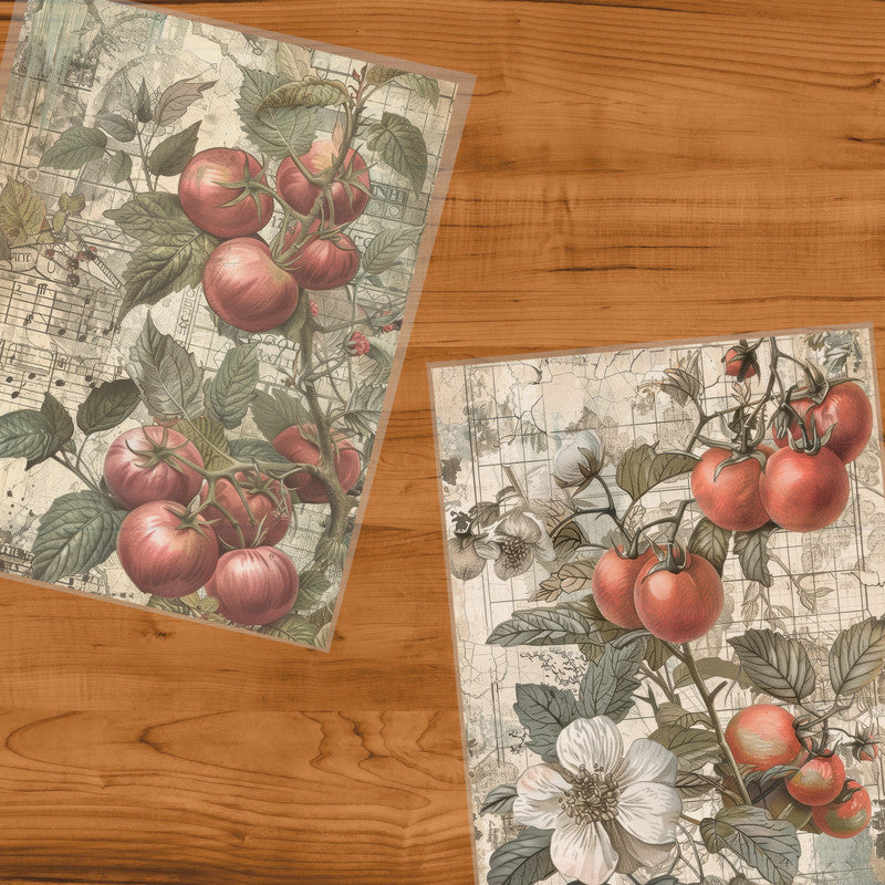 Life Memories of Pomegranates Decoupage 800mm x 600mm