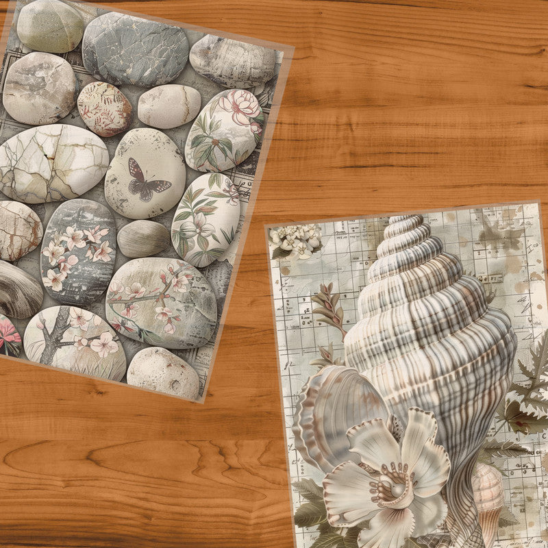 Life Memories of Shells and Stone Decoupage 800mm x 600mm