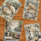 Life Memories of a Picnic Decoupage A3