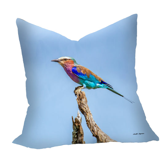 Lilac Breasted Roller Luxury Scatter by Annette Heymans