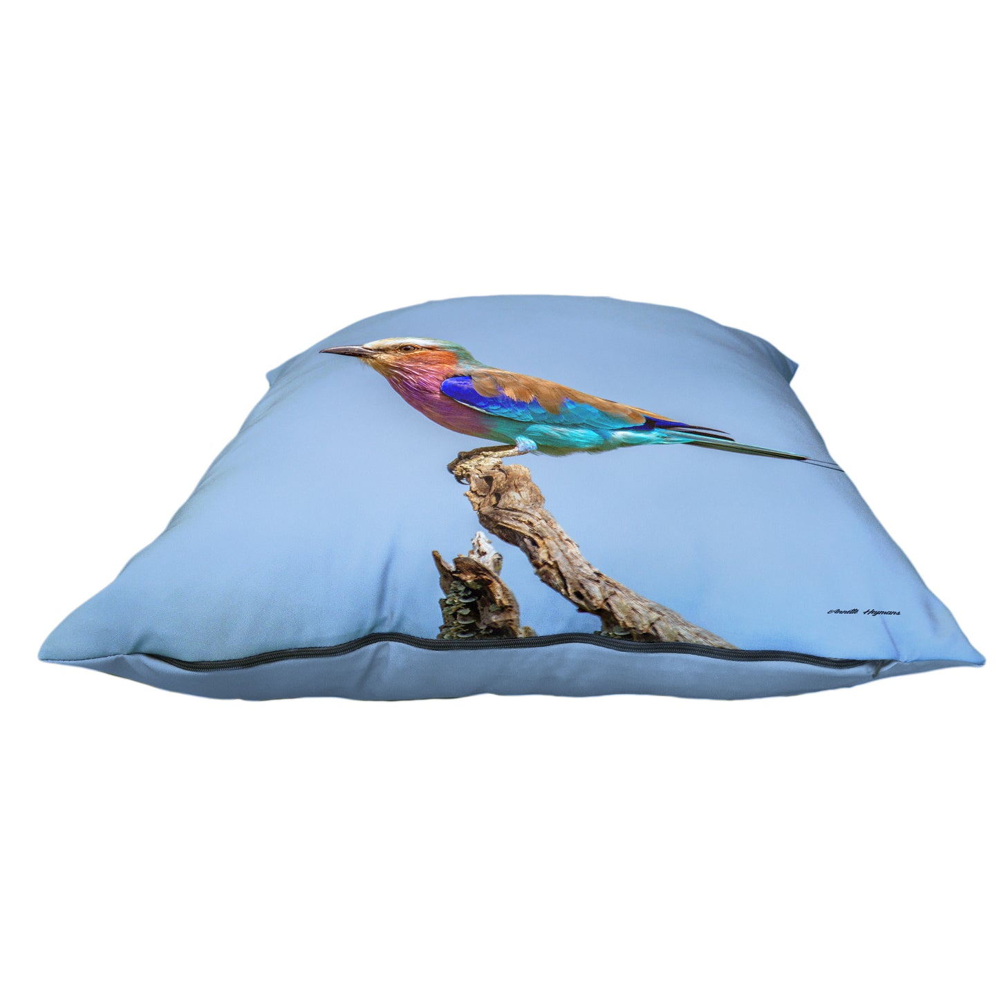 Lilac Breasted Roller Luxury Scatter by Annette Heymans