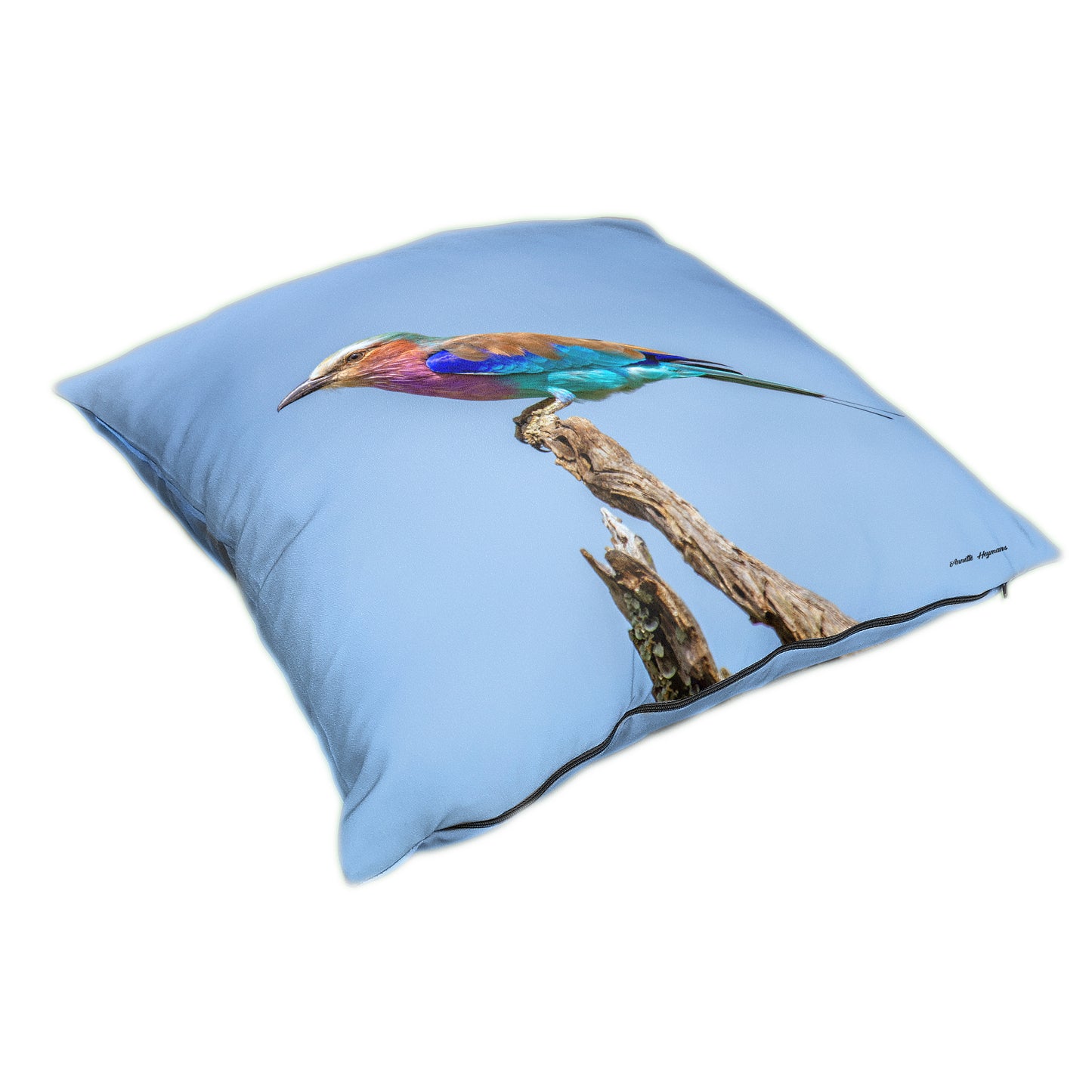 Lilac Breasted Roller Luxury Scatter by Annette Heymans