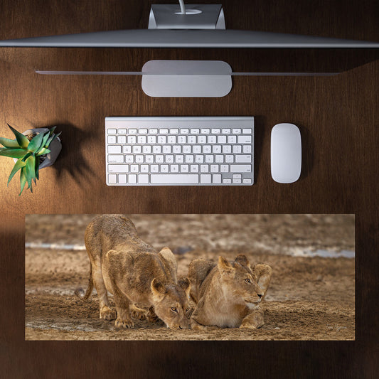 Lion Leeu Panthera Leo 11 Large Desk Pad By Fanie Heymans